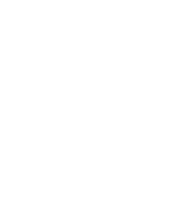 Perfect Game Logo